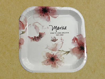 Plates and disposables marisa Guadalajara