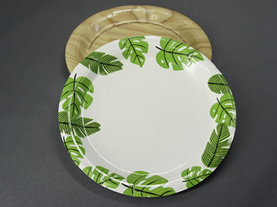 Disposable plates for restaurants